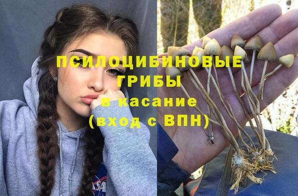 ECSTASY Ростов
