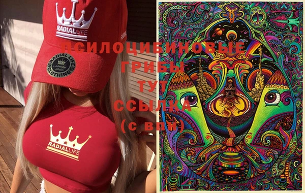 ECSTASY Ростов
