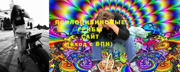 прущий лед Дубна