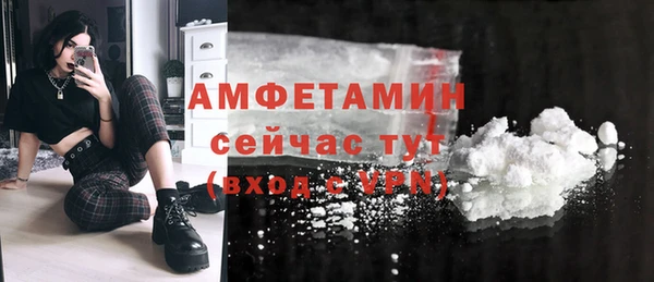 молекула духа Дубовка