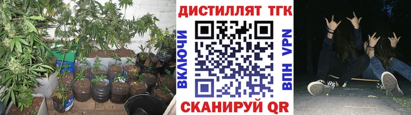 ТГК Wax  Купить где  Дмитров 
